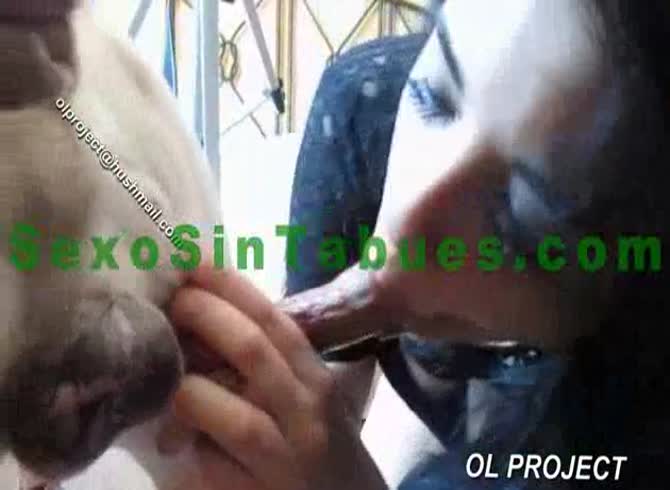 Video :Brunette teen giving dog blowjob until animal orgasm